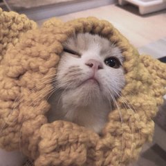 imToken钱包苹果版